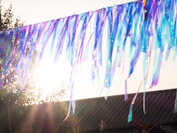 MRCBCP Festival 2025 #1