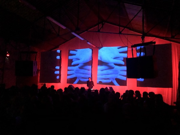 Frankey & Sandrino + Ripperton